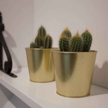 Bonito Apartamento, Nuevo Y En El Casco Viejo!!! Apartment Билбао Екстериор снимка
